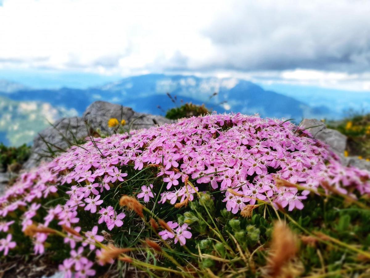 치르나나코로슈켐 Natur Pur Pikovo 빌라 외부 사진